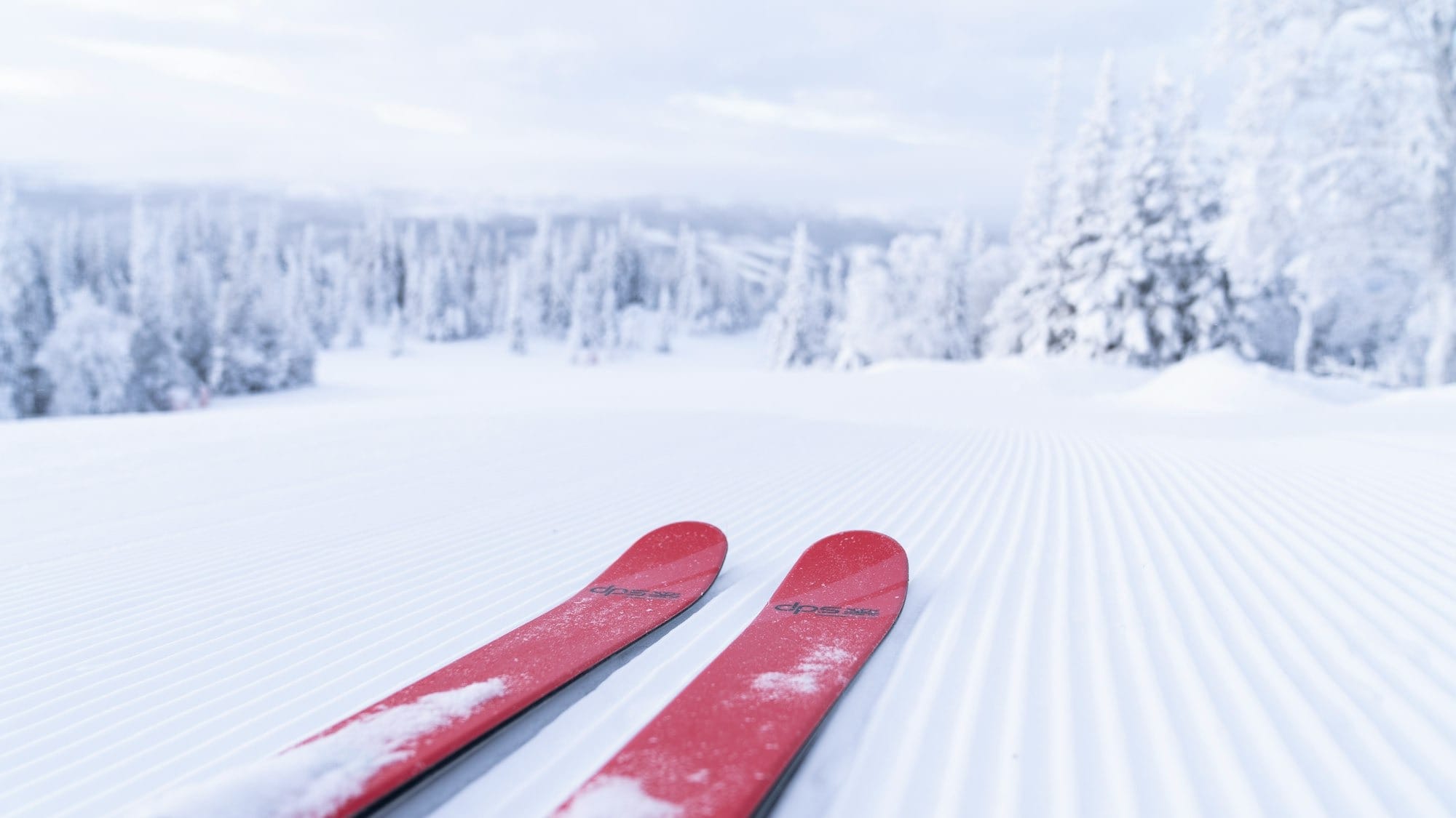 Britght red skis glide on untouched corduroy snow
